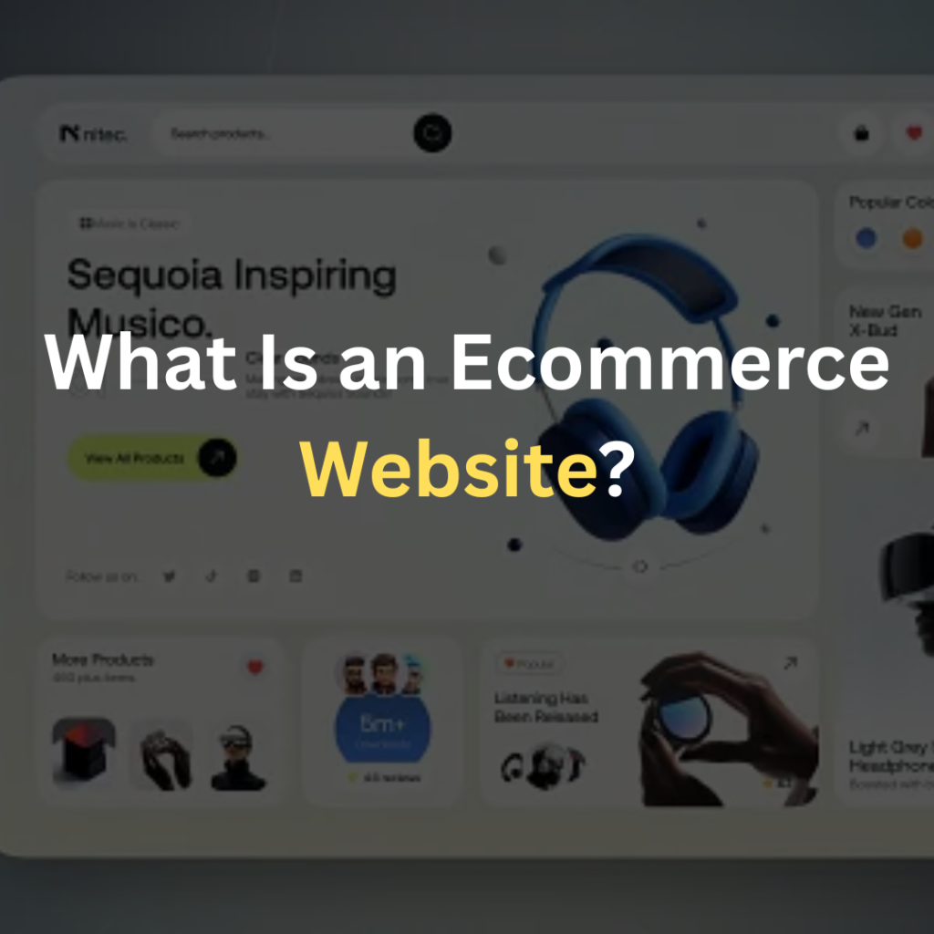 What Is an Ecommerce Website